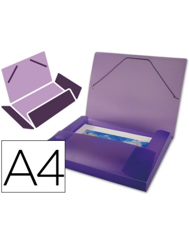 CARPETA DINA4 PORTADOCUMENTOS VIOLETA FROSTY 25MM LIDERPAPEL