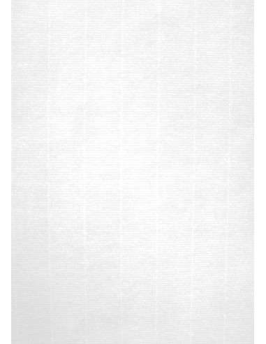 PAPEL VERJURADO BLANCO 220GR A4 20 HOJAS