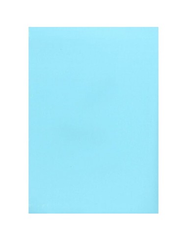 PAPER COLOR AZUL CLARO DIN A4 120GR 10H.APLI **LIQUIDACIÓN