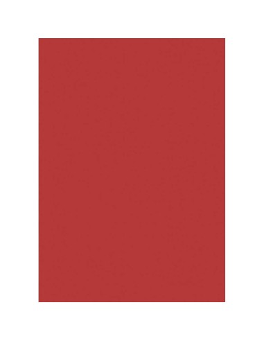 PAPEL COLOR ROJO DIN A4 120GR 10H. APLI