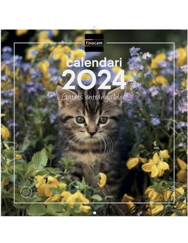 CALENDARIO PARED ESCRIBIR 30x30 GATITOS CAT FINOCAM **LIQUID