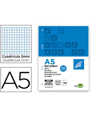 RECAMBIO LIDERPAPEL A5 100H 100GR CUADRO 5MM 6 TALADROS