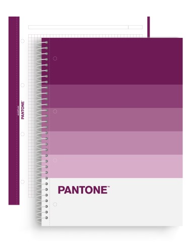 LIBRETA NOTEBOOK PANTONE FANTASY VIOLETA 5x5 ESCOLOFI