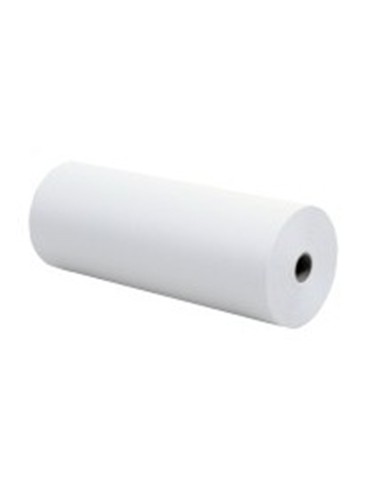 PAPEL KRAFT BLANCO 50GR. 150m BOBINA 31cm. 2,3KG